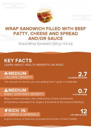 Wrap sandwich filled with beef patty, cheese and spread and/or sauce