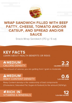 Wrap sandwich filled with beef patty, cheese, tomato and/or catsup, and spread and/or sauce