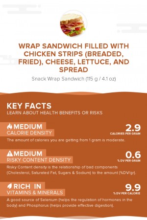 Wrap sandwich filled with chicken strips (breaded, fried), cheese, lettuce, and spread