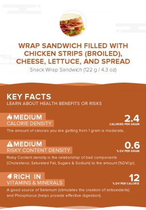 Wrap sandwich filled with chicken strips (broiled), cheese, lettuce, and spread