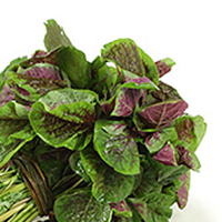 Amaranth Leaves, Raw