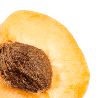 Apricot, dried, uncooked