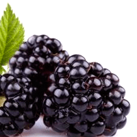 Blackberries, cooked or canned, in heavy syrup
