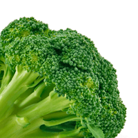 Broccoli, cooked, from frozen, fat added in cooking