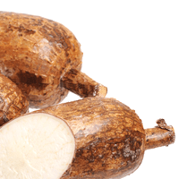 Cassava (yuca blanca), cooked, fat not added in cooking