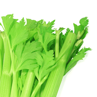 Celery, Raw