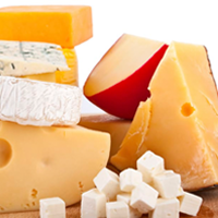 Cheese Fontina