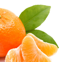 peeled clementine peeled clementine