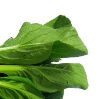 Collards, cooked, from canned