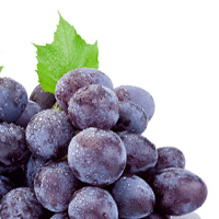 Grapes, European type, adherent skin