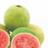 Guava shell (assume canned in heavy syrup)