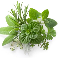 Herb Seasoning, Leafy Salad, Pyramid, 1.75 oz
