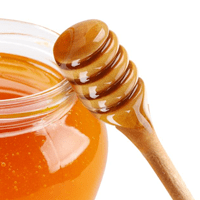 Honey Tree's Organic Rainforest Honey, 16 oz (Pack of 6)