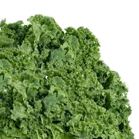 Kale, Boiled, With Salt