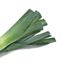 Leek soup, cream of, prepared with milk