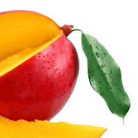 Mango Chutney, Hot and Fruity, Sharwood's, 8 oz