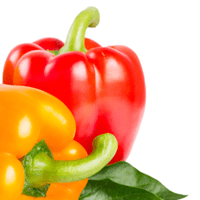 Peppers, Sweet, Red, Boiled