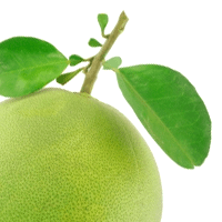 Pomelo