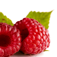 Raspberries, cooked or canned, in heavy syrup