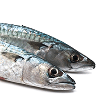 Sardines, skinless, boneless, packed in water