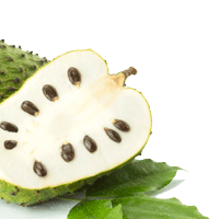 Soursop