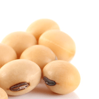 Soybean Paste, Assi, 2.2 lb