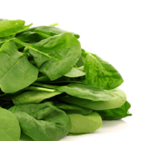 Spinach salad, no dressing