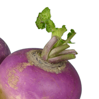 Turnip Greens, Boiled, With Salt
