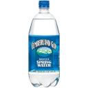 Cumberland Gap Mountain Spring Water, 1 l