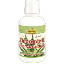 Dynamic Health Chlorophyll With Aloe Vera Juice, 16 oz