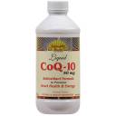 Dynamic Health Orange Flavor Liquid COQ-10 50mg, 8 oz