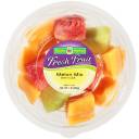 Garden Highway Fresh Fruit Melon Mix, 16 oz