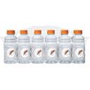 Gatorade: All Stars Thirst Quencher Ice Punch Sports Drink, 12 pk