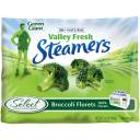 Green Giant Valley Fresh Steamers Broccoli Florets, 12 oz