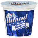 Hiland Lowfat Blueberry Yogurt, 6 oz